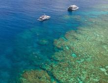 Cairns-Central-YHA-Great-Barrier-Reef-Snorkelling.jpg